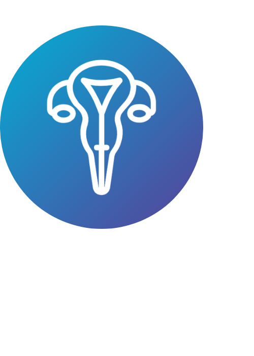 icone uterus
