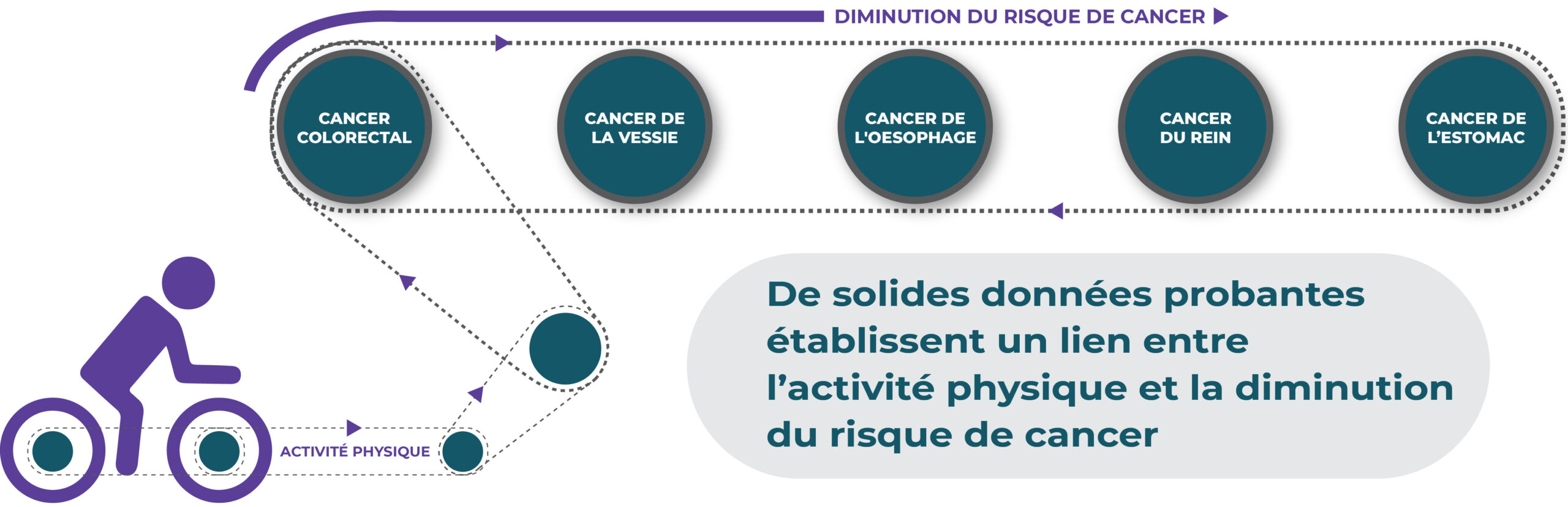 De solides données probantes établissent un lien entre l’activité physique et la diminution du risque de cancer.