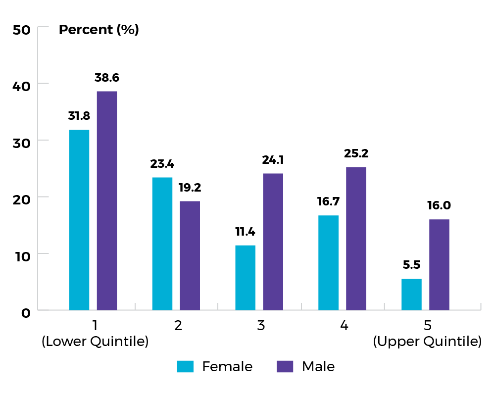 Lower quintile: females: 31.8%; males: 38.6%, Quintile 2: females: 23.4%; males: 19.2%, Quintile 3: females: 11.4%; males: 24.1%, Quintile 4: females: 16.7%; males: 25.2%, Upper quintile: females: 5.5%; males: 16.0%