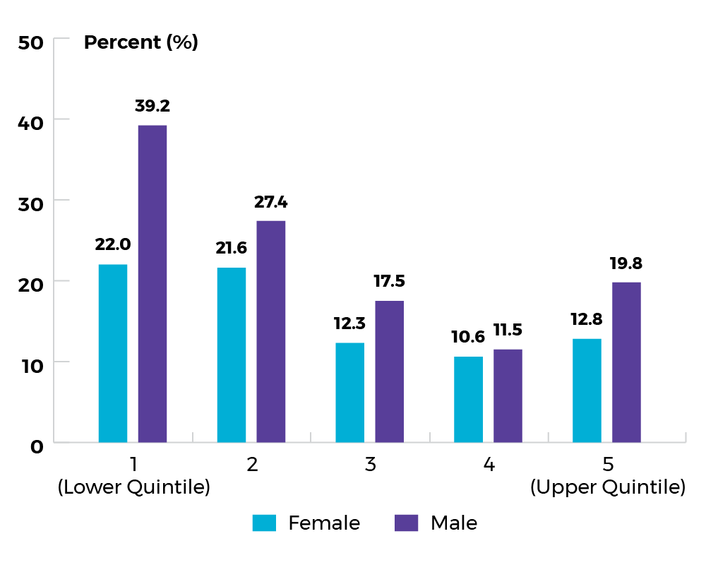 Quintile 1 (Lower quintile): females: 22.0%; males: 39.2%. Quintile 5 (Upper quintile): females: 12.8%; males: 19.8%. Table to follow.
