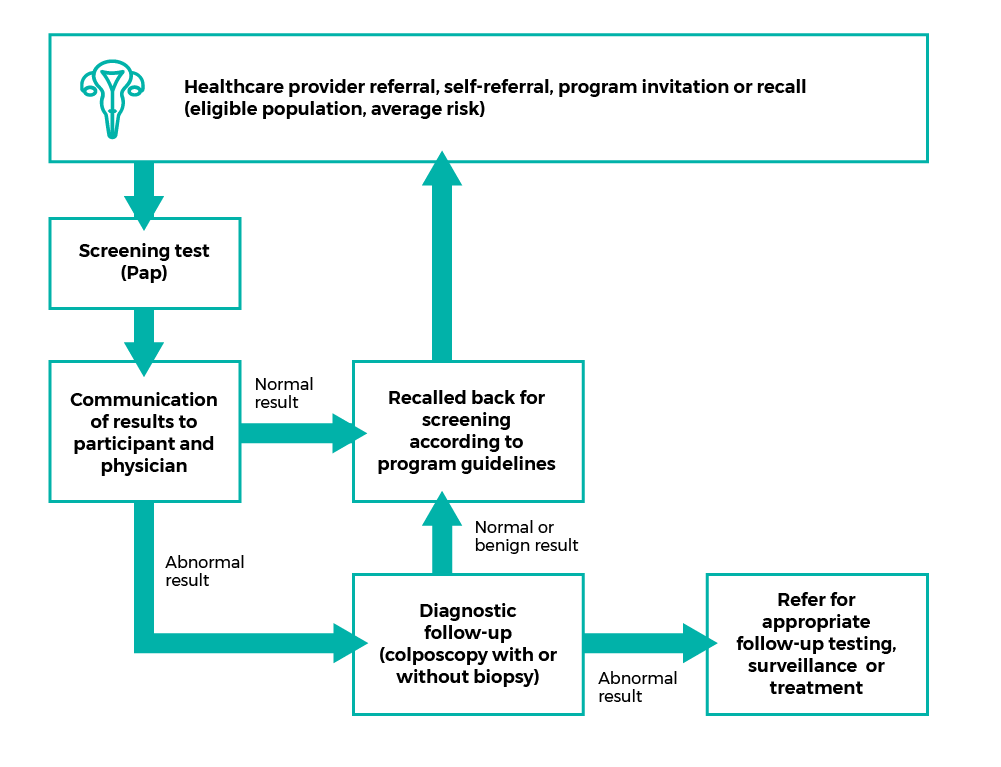 Flow chart that describes the cervical cancer screening pathway. Step 1: Healthcare provider referral, self-referral, program invitation or recall for the eligible population at average risk. Step 2: Screening test (Pap). Step 3:Communication of results to participant and physician. If normal result, Step 4 is Recalled back for screening according to program guidelines. If abnormal result, Step 4 is Diagnostic follow-up (colposcopy with or without biopsy). If normal or benign result, Step 5 is Recalled back for screening according to program guidelines. If abnormal result, Step 5 is Refer for appropriate follow-up testing, surveillance or treatment.