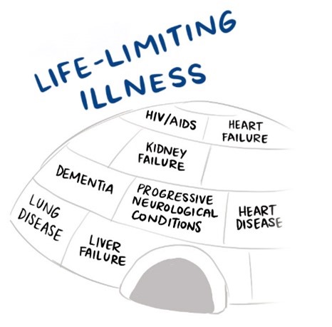 A graphic igloo with life-limiting illnesses on each of the bricks.