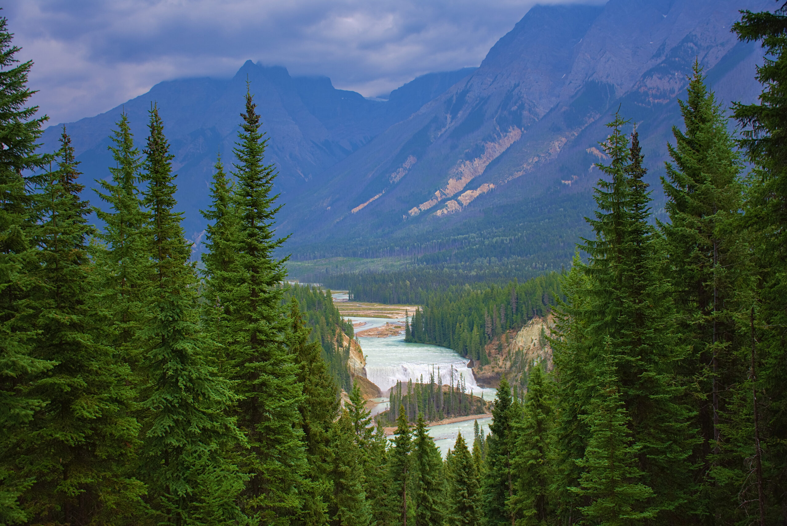 Waterfall,Surrounded,By,Nature,And,Wildlife.,Rocky,Mountain,(,Canada)