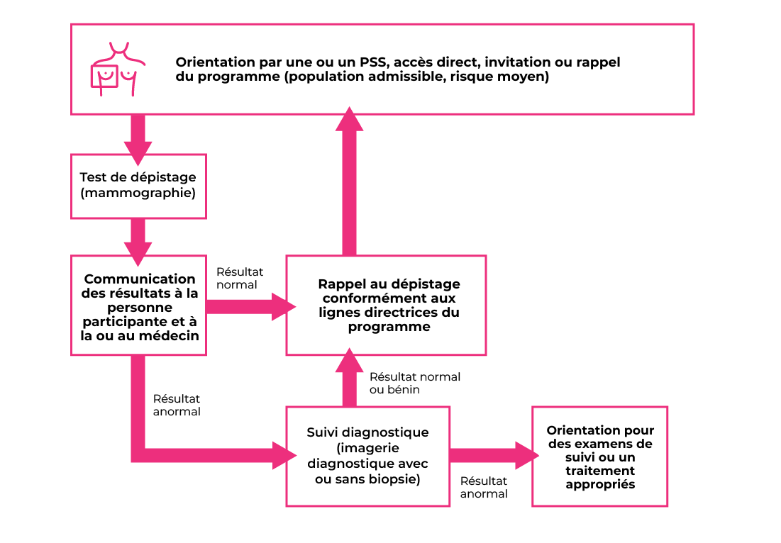 Etape 1 : Orientation vers un fournisseur de soins, auto-orientation, invitation à participer à un programme ou rappel pour la population admissible qui présente un risque moyen. Etape 2 : Test de dépistage (mammographie). Etape 3 : Communication des résultats à la participante et au médecin. Si le résultat est normal, étape 4 est de Rappeler la personne pour un test de dépistage en fonction des lignes directrices du programme. Si le résultat du dépistage est anormal, l'étape 4 est le Suivi diagnostique (imagerie diagnostique avec ou sans biopsie). Si le résultat du suivi diagnostique est normal ou bénin, l'étape 5 est Rappeler la personne pour un test de dépistage en fonction des lignes directrices du programme. Si le résultat du suivi diagnostique est anormal, l'étape 5 est d'orienter la patiente vers un test ou un traitement de suivi approprié.