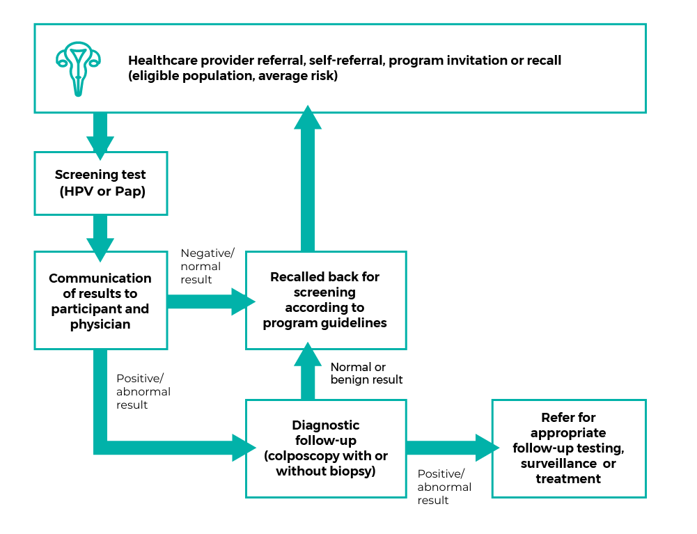 1: Referral, invitation or recall. 2: Screening test. 3: Communication of results. If normal result, 4 is Recalled back for screening. If abnormal result, 4 is Diagnostic follow-up. If normal, 5 is Recalled back for screening according to program guidelines. If abnormal result, 5 is Refer for appropriate follow-up testing, surveillance or treatment.